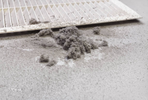 Best Home Air Vent Cleaning  in Royse City, TX